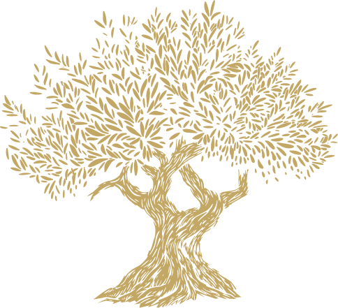 Olive Tree
